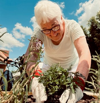 A woman planting herbs in a sunny garden
